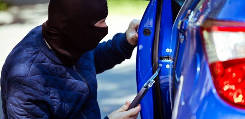 Police find double the amount of chop shops as vehicle thefts increase