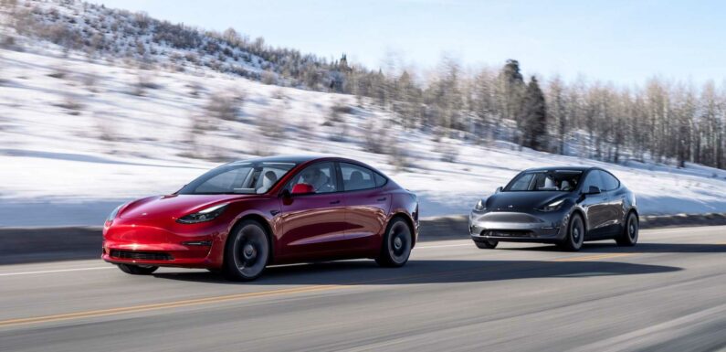 Tesla Had The Auto Industry's Highest Repeat Buyer Rate In H1 2023