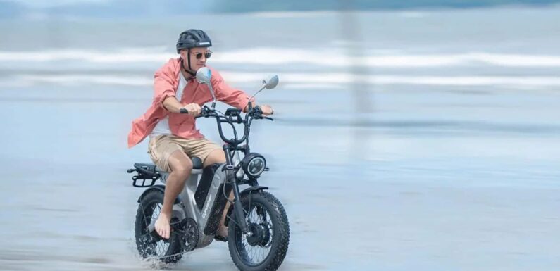 Cyrusher Doubles Down With Dual-Motor Scout E-Bike